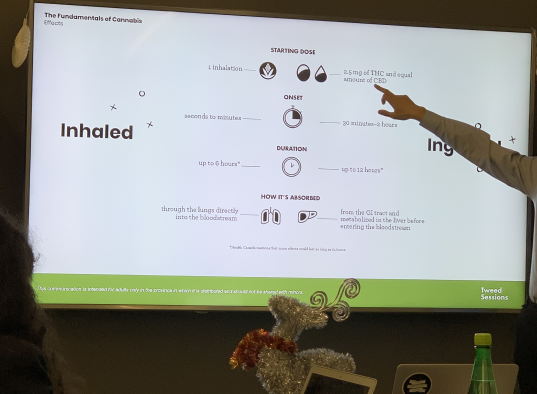 Foundations-of-Cannabis-Blog-Post-Preview